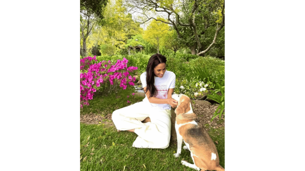 Meghan, Duchess of Sussex