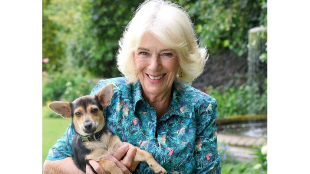 Queen Camilla with her dog.