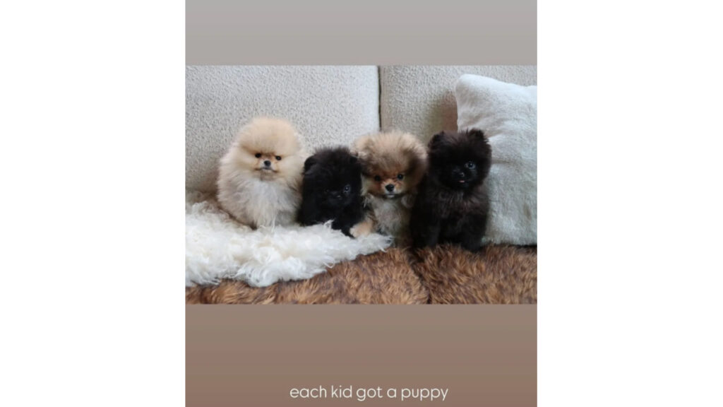 Kim Kardashian shares a photo of puppies she got her kids for Christmas,