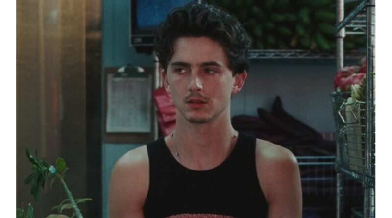 Timothee Chalamet for Cash App.