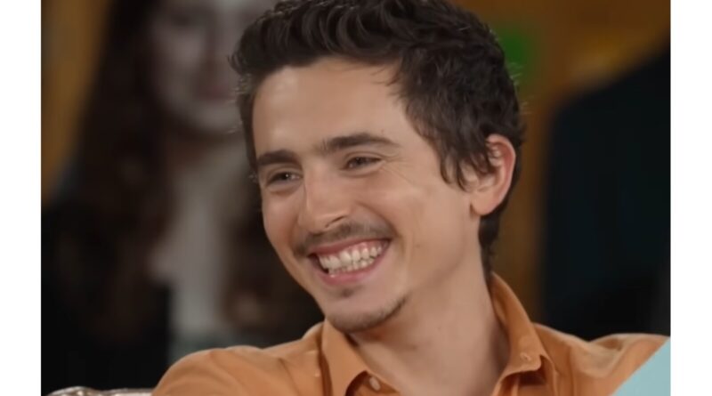 Timothée Chalamet at an interview with CNN.