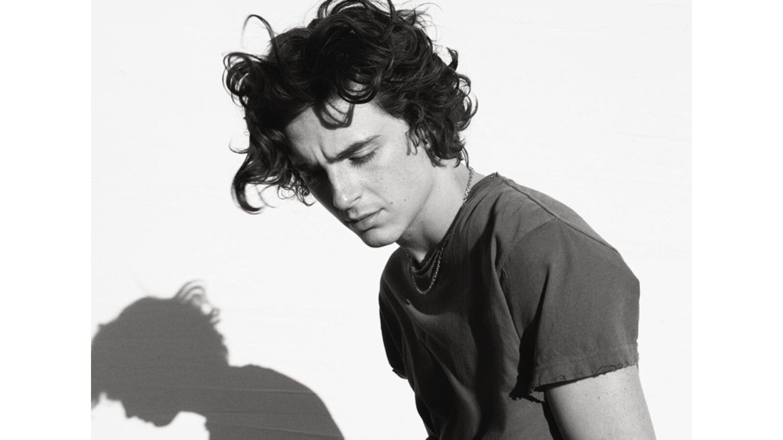 Timothée Chalamet.